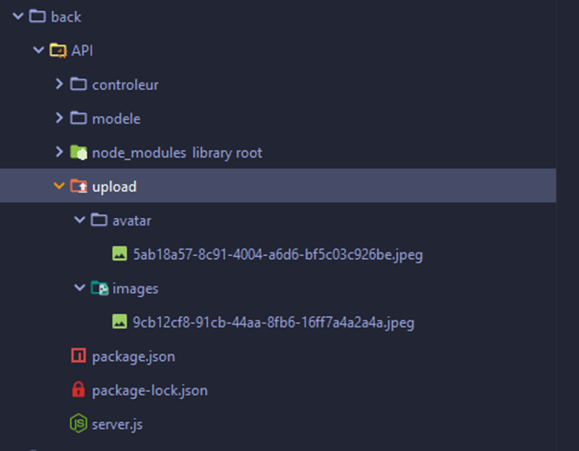 Arborescence d&#39;un projet avec des dossiers pour l&#39;API, les contrôleurs, les modèles et des fichiers pour le téléchargement d&#39;images.